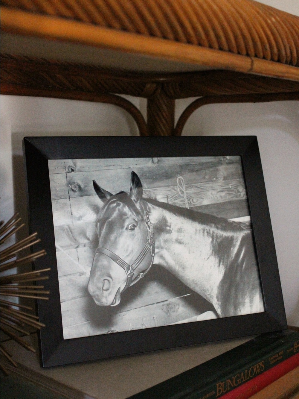 Original Black Framed Horse Photo Print - Home Art 8x12”